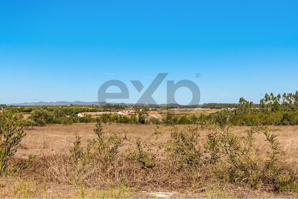 Unmissable Investment Opportunity in Odemira 85507464 image 9