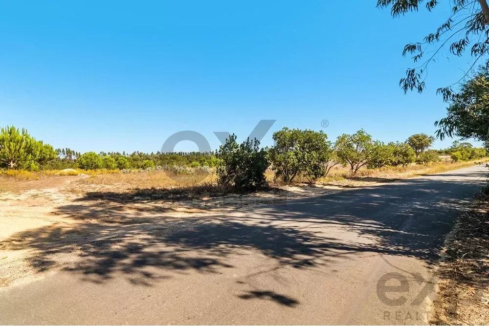 Unmissable Investment Opportunity in Odemira 85507464 image 16