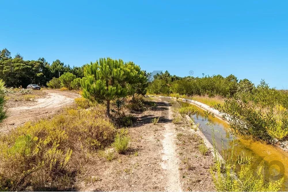 Unmissable Investment Opportunity in Odemira 85507464 image 10