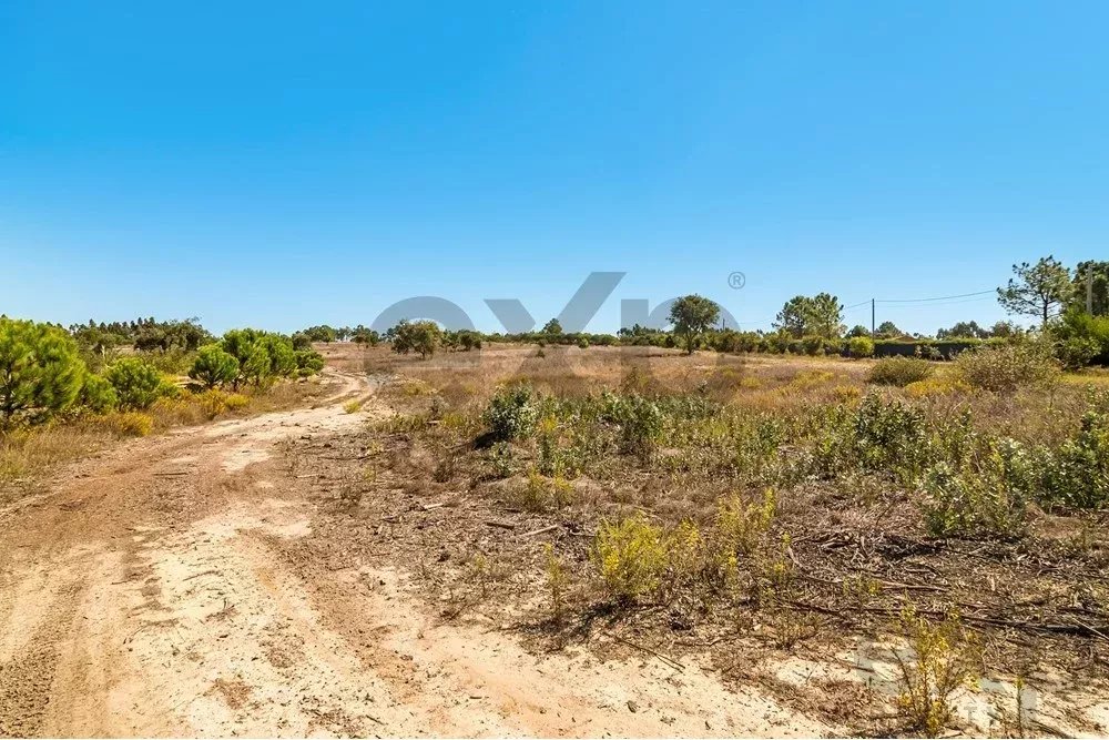 Unmissable Investment Opportunity in Odemira 85507464 image 13