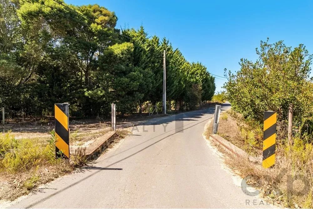 Unmissable Investment Opportunity in Odemira 85507464 image 11
