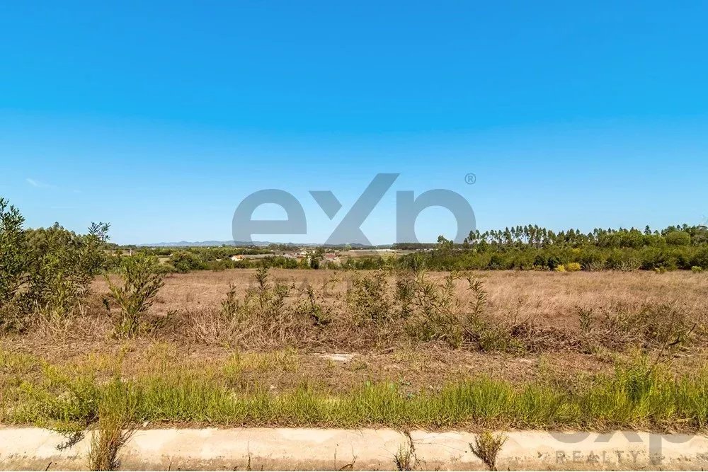 Unmissable Investment Opportunity in Odemira 85507464 image 8