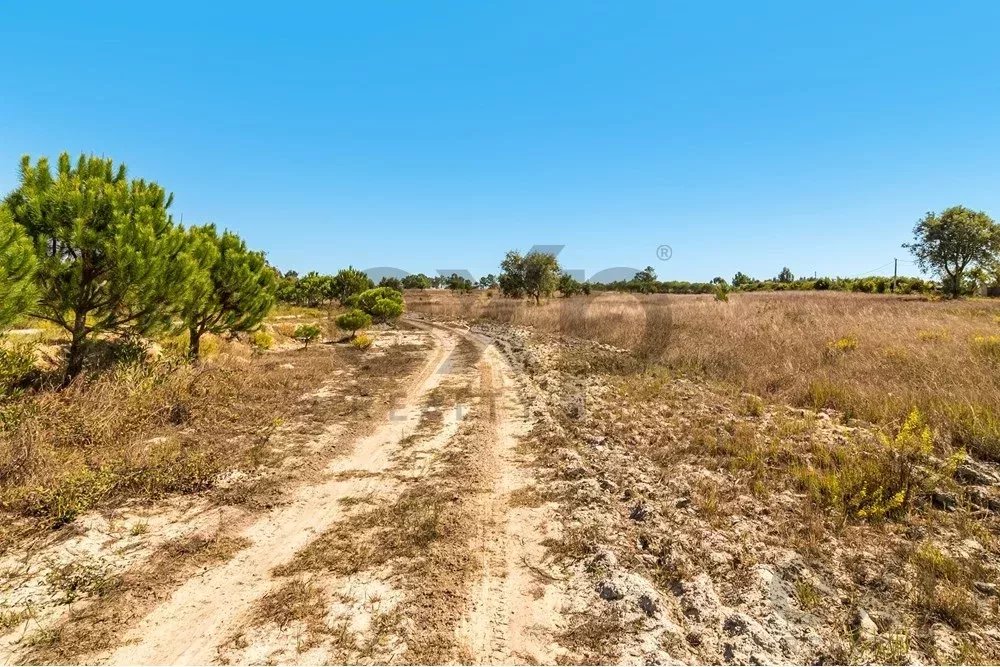 Unmissable Investment Opportunity in Odemira 85507464 image 14