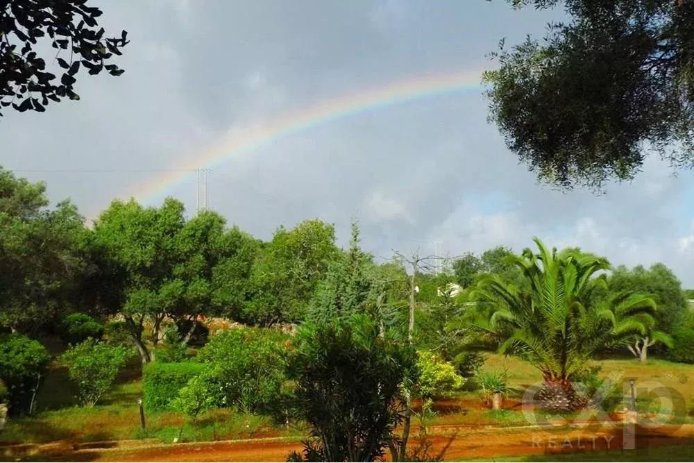 Sale of Estate in Santa Margarida 85507737 image 24