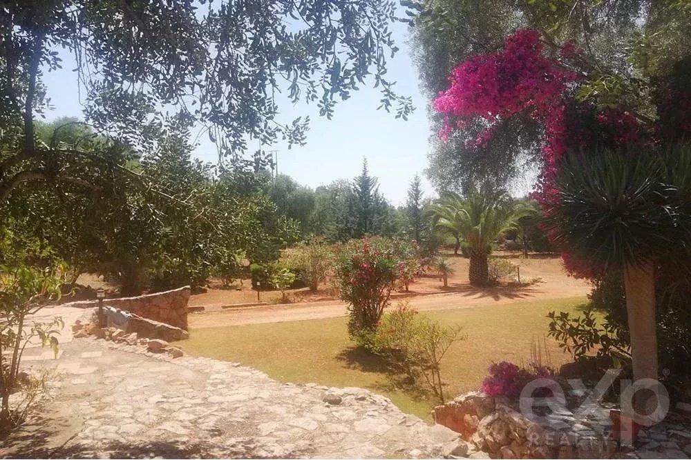 Sale of Estate in Santa Margarida 85507737 image 17