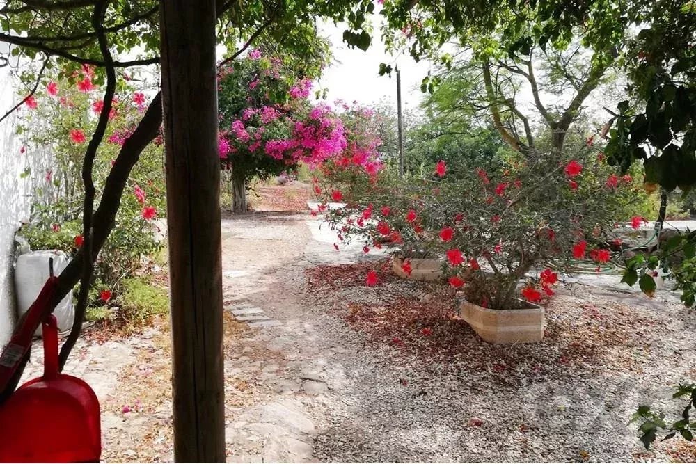 Sale of Estate in Santa Margarida 85507737 image 7