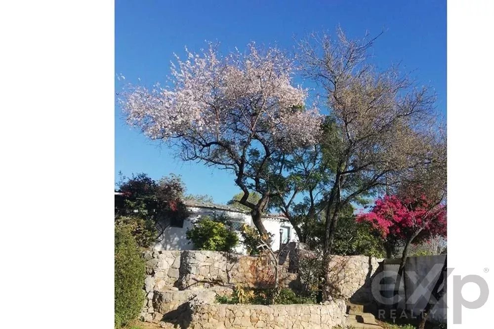 Sale of Estate in Santa Margarida 85507737 image 14