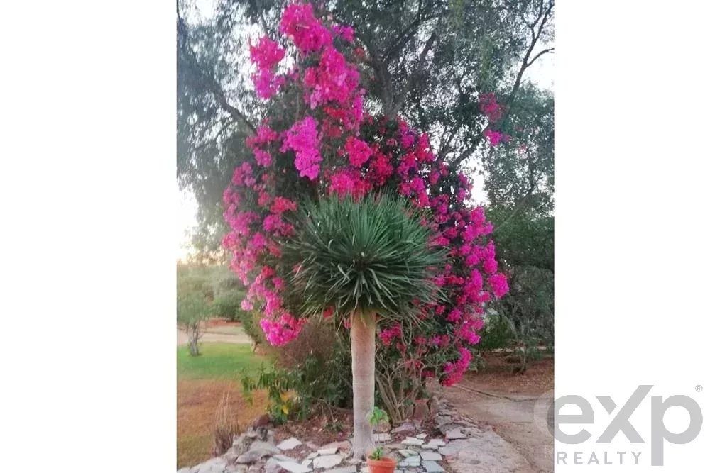 Sale of Estate in Santa Margarida 85507737 image 22