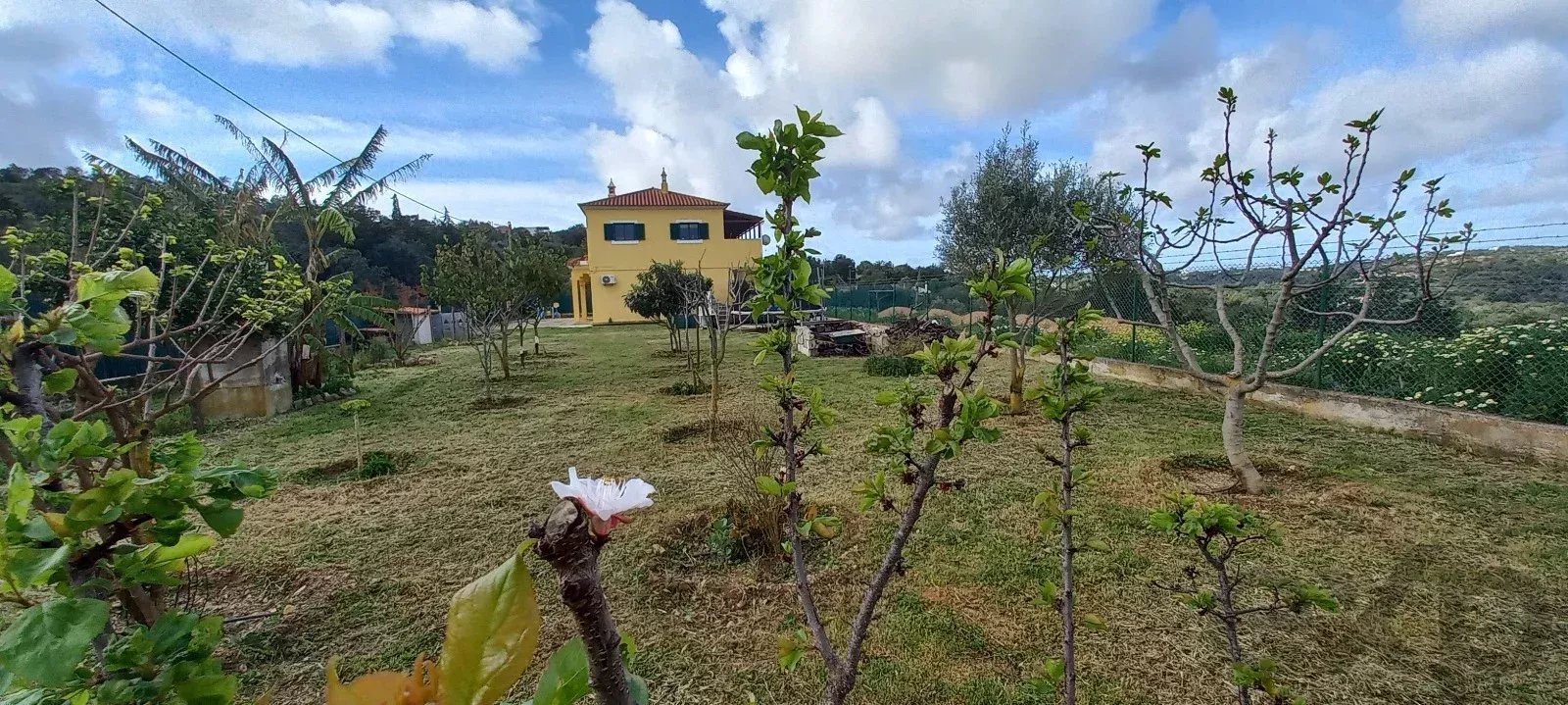 Moradia mista com espaço comercial de 150 m², T2 independente e terreno de 2600 m² — a 3 km de Loulé, Algarve