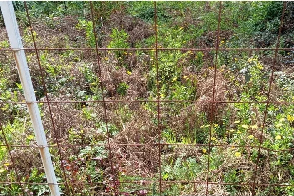 "Terreno Pronto para Construir em Miramar, Porto"