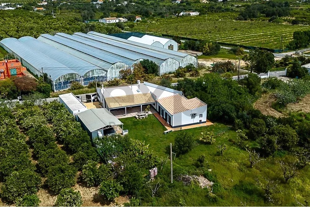 Charming cottage just minutes from Praia do Barril and Tavira 85948425 image 57
