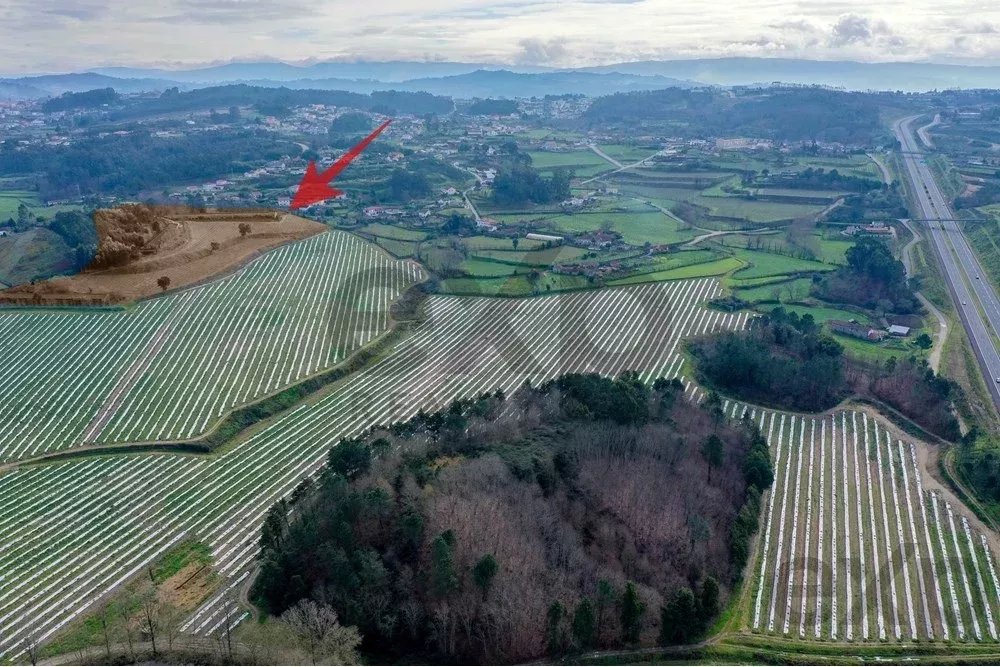 Armazéns à venda em Vilar do Torno e Alentém, rua quinta dos ingleses, S/N, 4620-822 Vilar do Torno e Alentém, 5166 m²