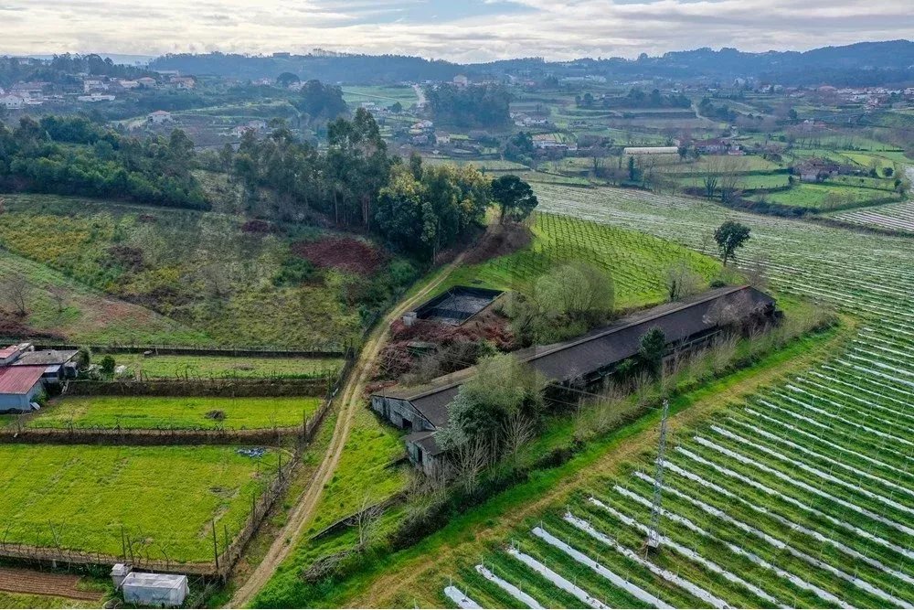 Armazéns à venda em Vilar do Torno e Alentém, rua quinta dos ingleses, S/N, 4620-822 Vilar do Torno e Alentém, 5166 m²