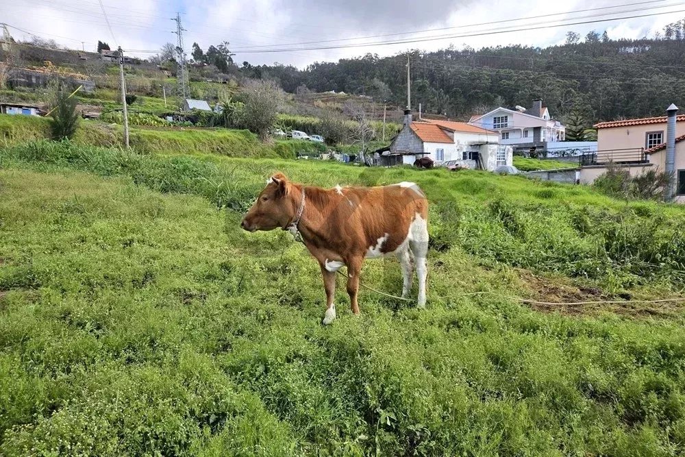 Um terreno em um ambiente natural, com vistas deslumbrantes sobre as montanhas e o mar