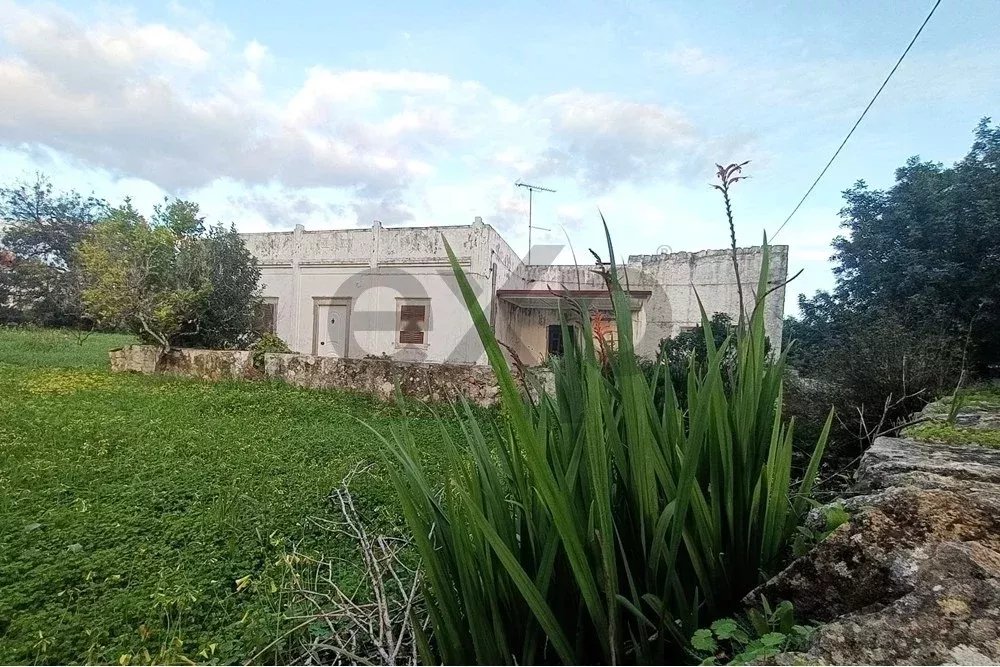 Independent house with yard and plot in Santa Bárbara de Nexe, Faro, Algarve, Portugal 85948890 image 25