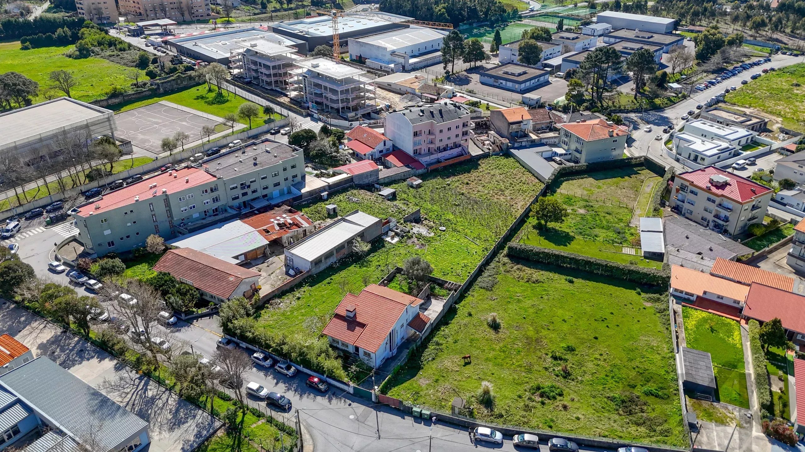 Terreno em Arcozelo - Corvo