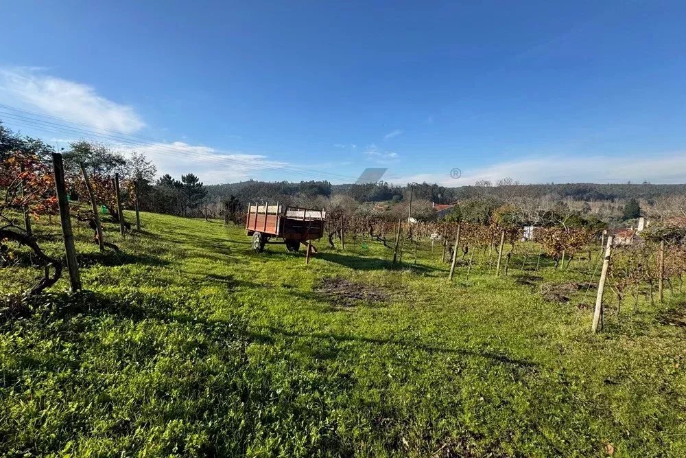 Terreno Urbano em Vil de Matos, Coimbra – Um Investimento com Potencial!