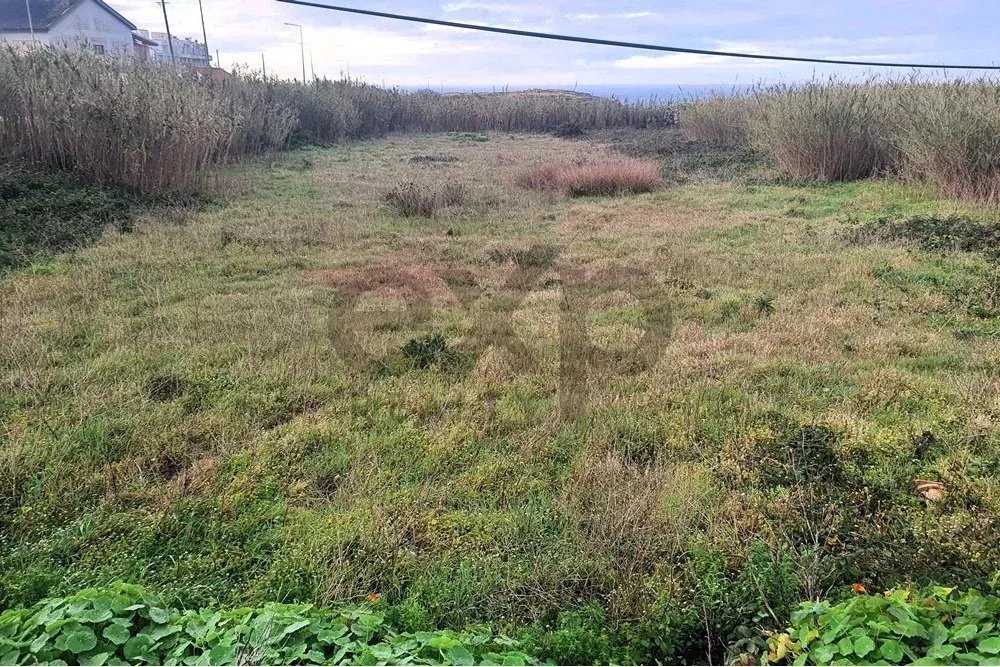 Terreno em primeira linha de mar, Peniche