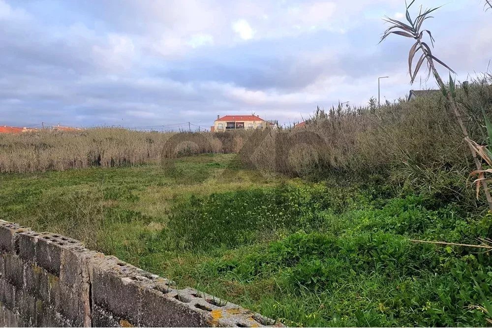 Terreno em primeira linha de mar, Peniche