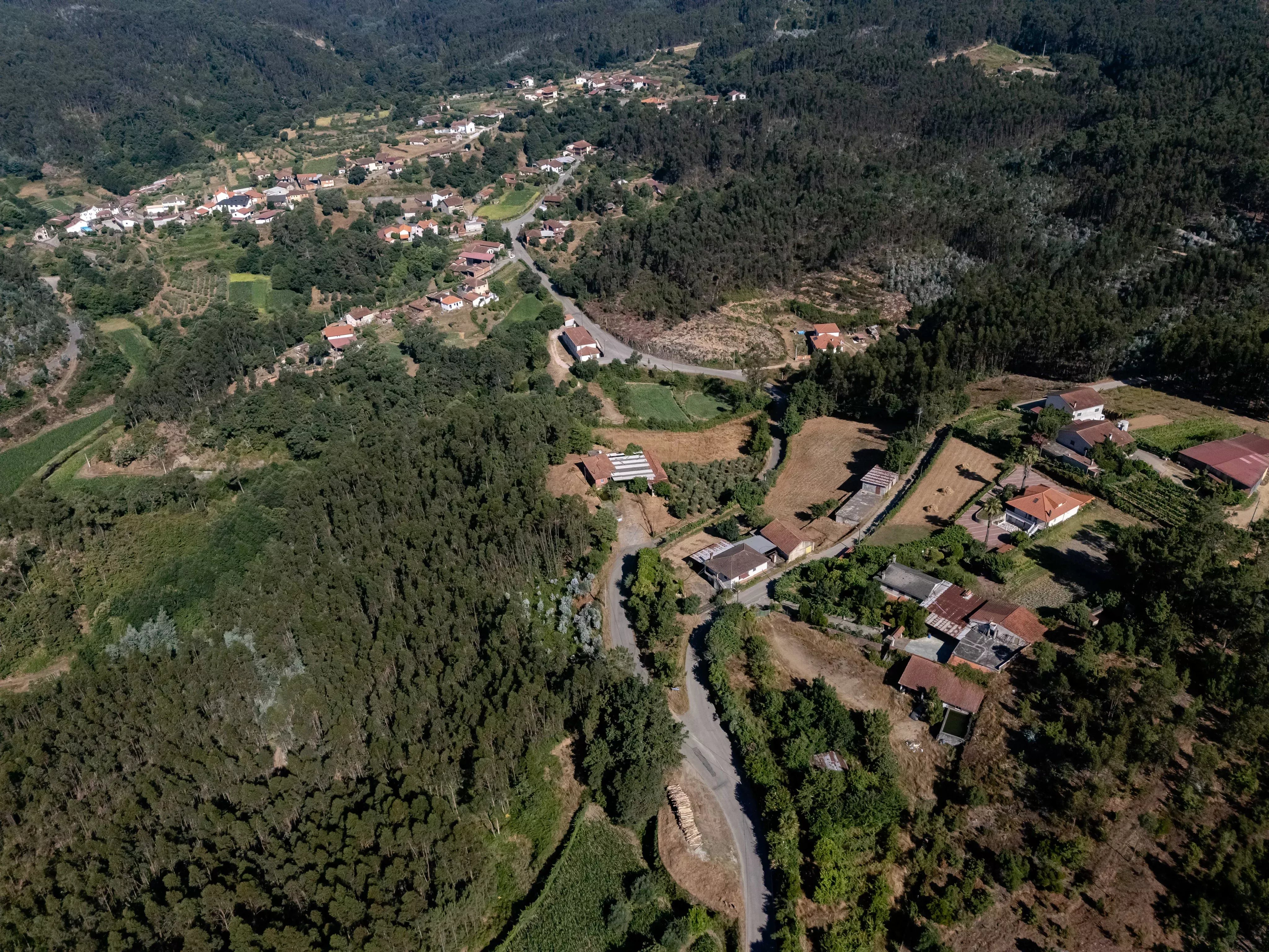 Quinta com Moradia T5 e 4 400 m² em Mortágua