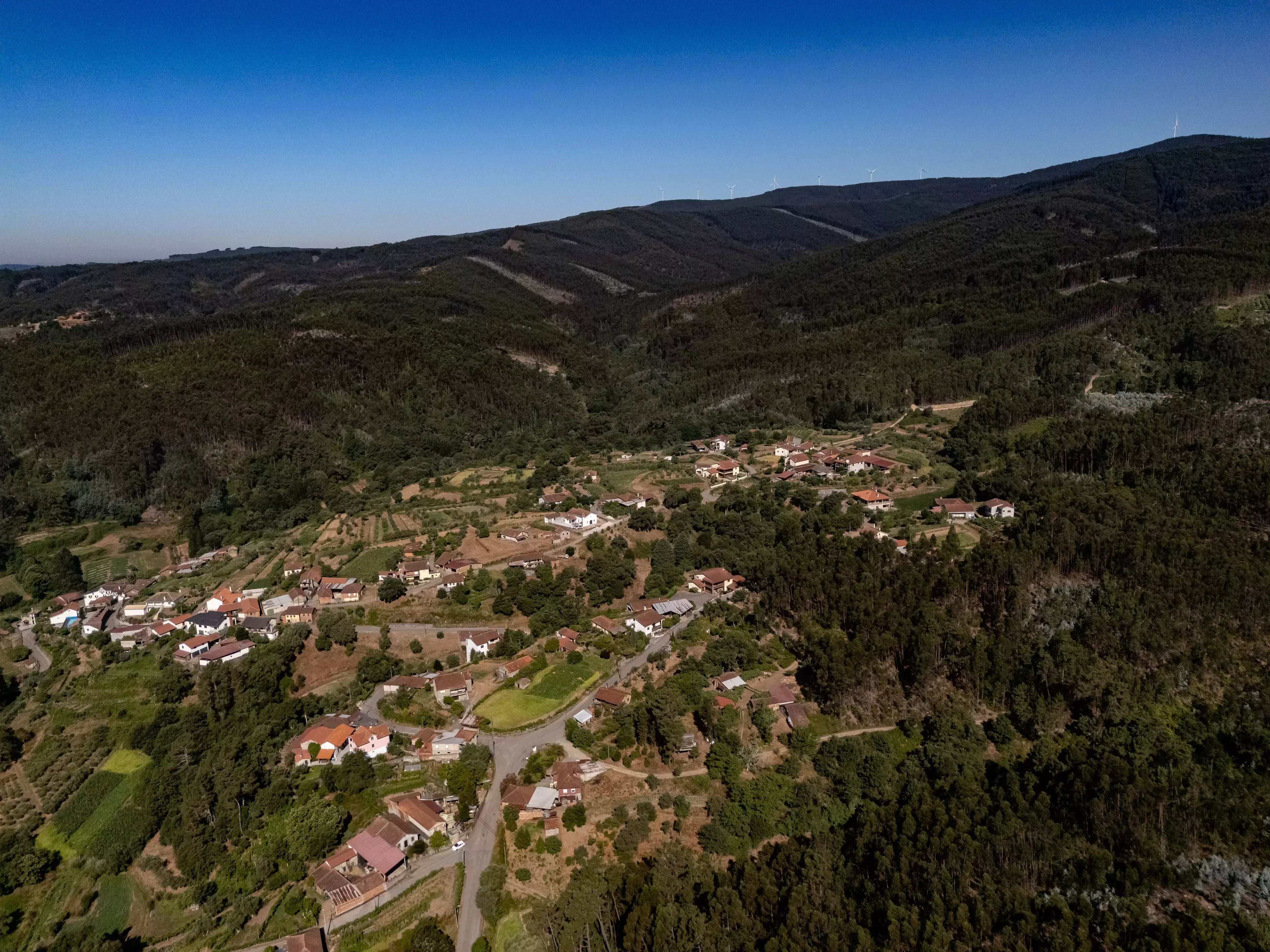 Quinta com Moradia T5 e 4 400 m² em Mortágua