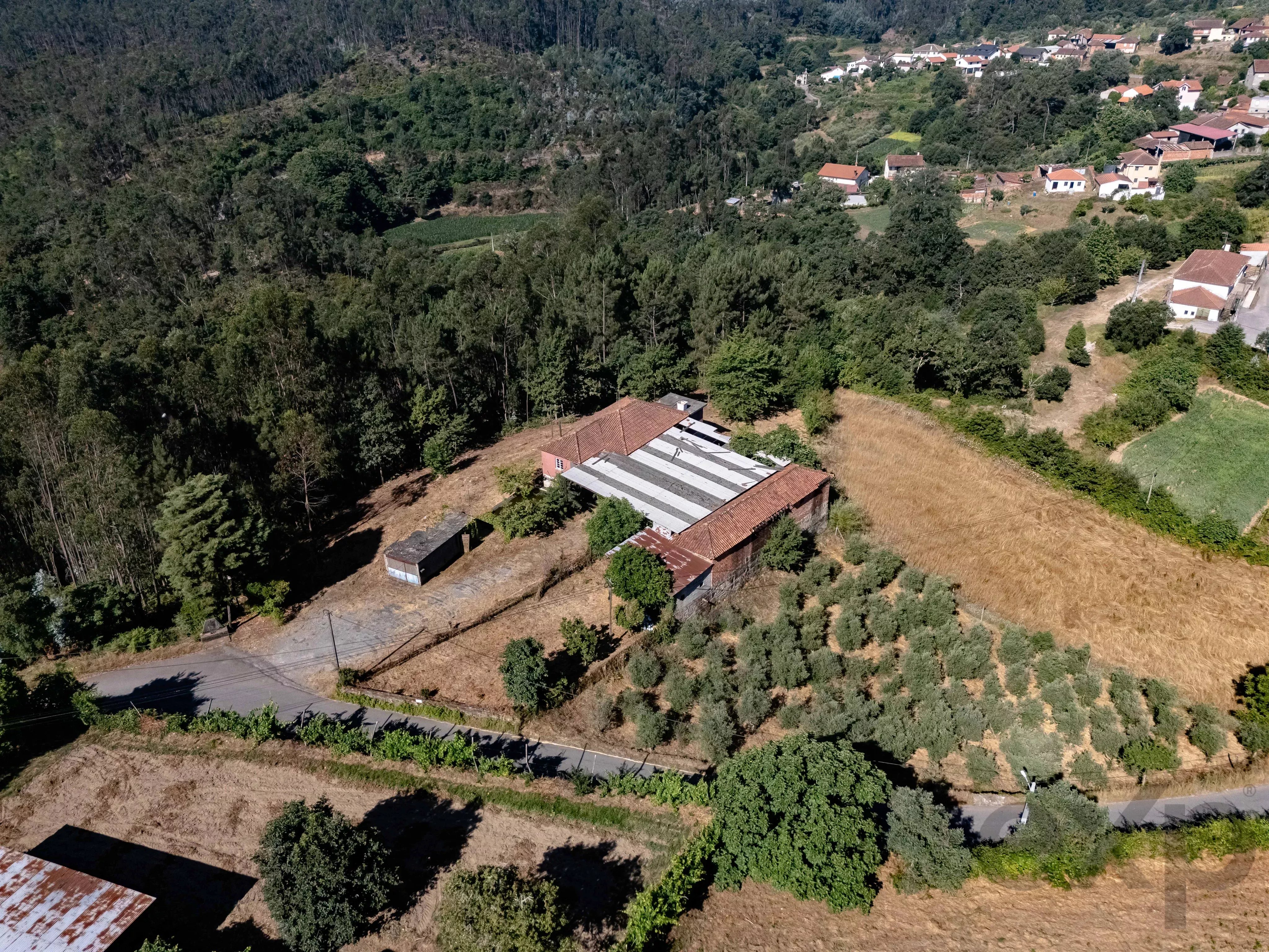 Quinta com Moradia T5 e 4 400 m² em Mortágua