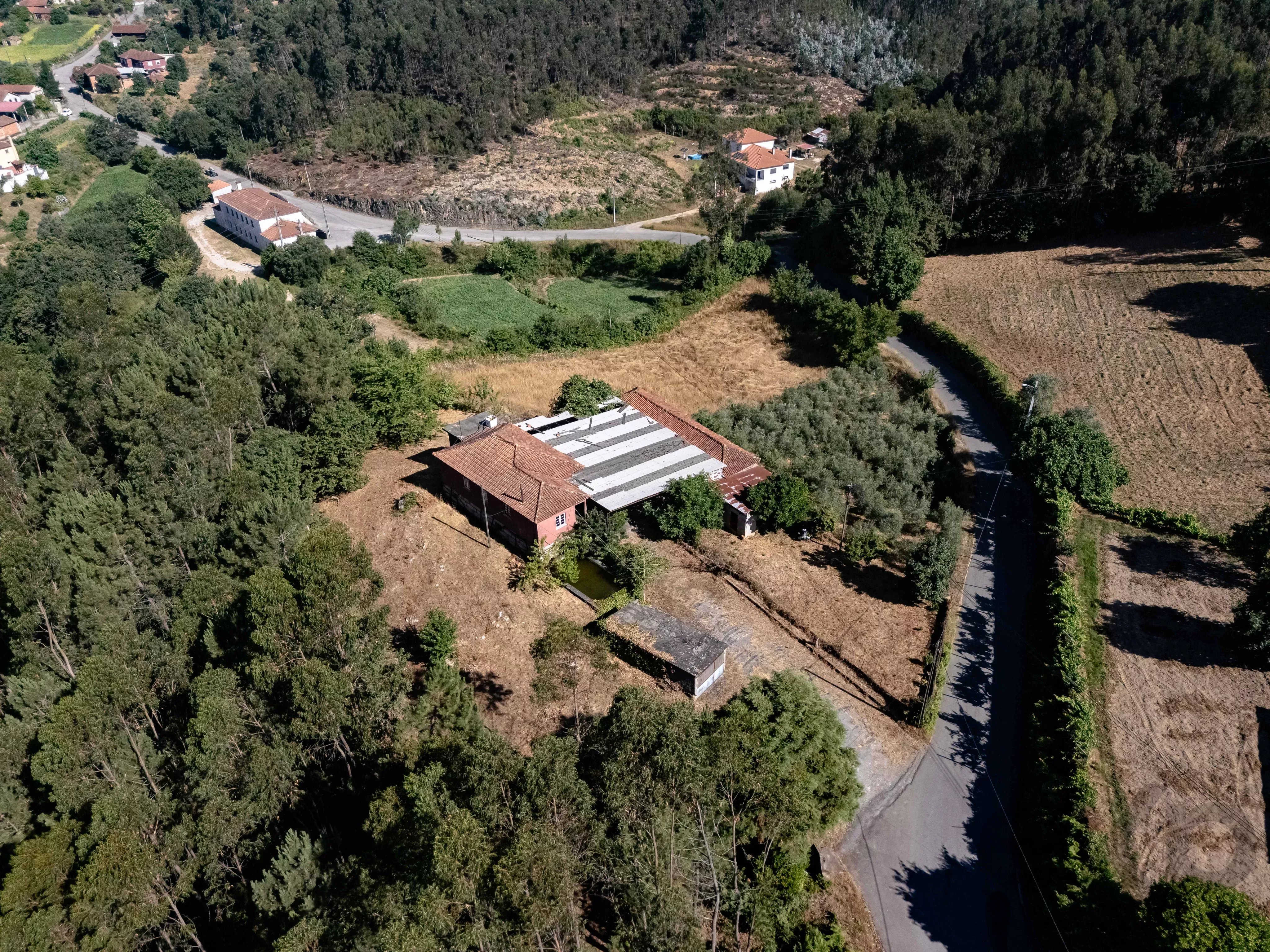 Quinta com Moradia T5 e 4 400 m² em Mortágua