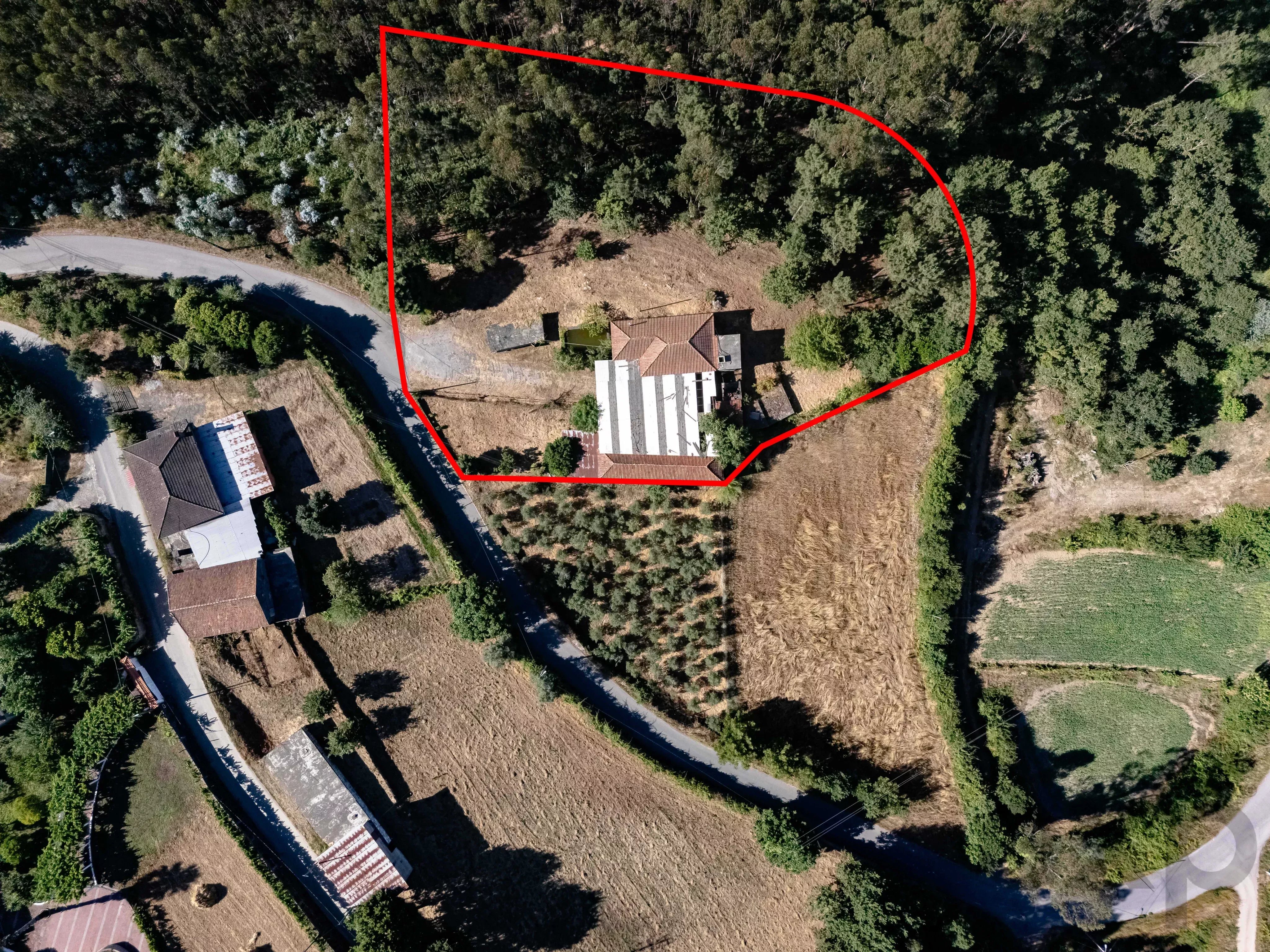 Quinta com Moradia T5 e 4 400 m² em Mortágua