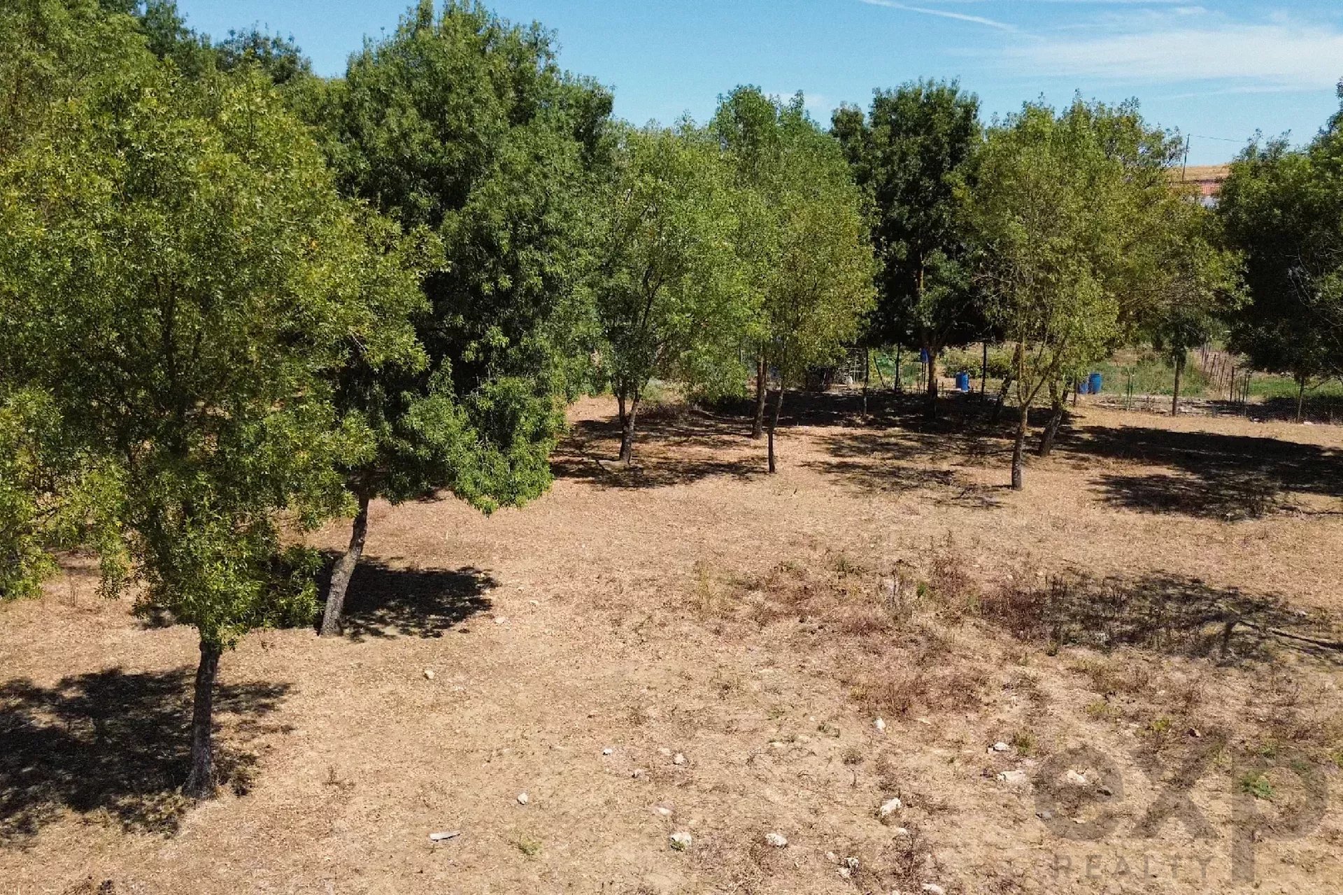 <|channel|>final <|constrain|>pt<|message|>Propriedade Equestre de Luxo, Casa de Hóspedes 85992157 image 16