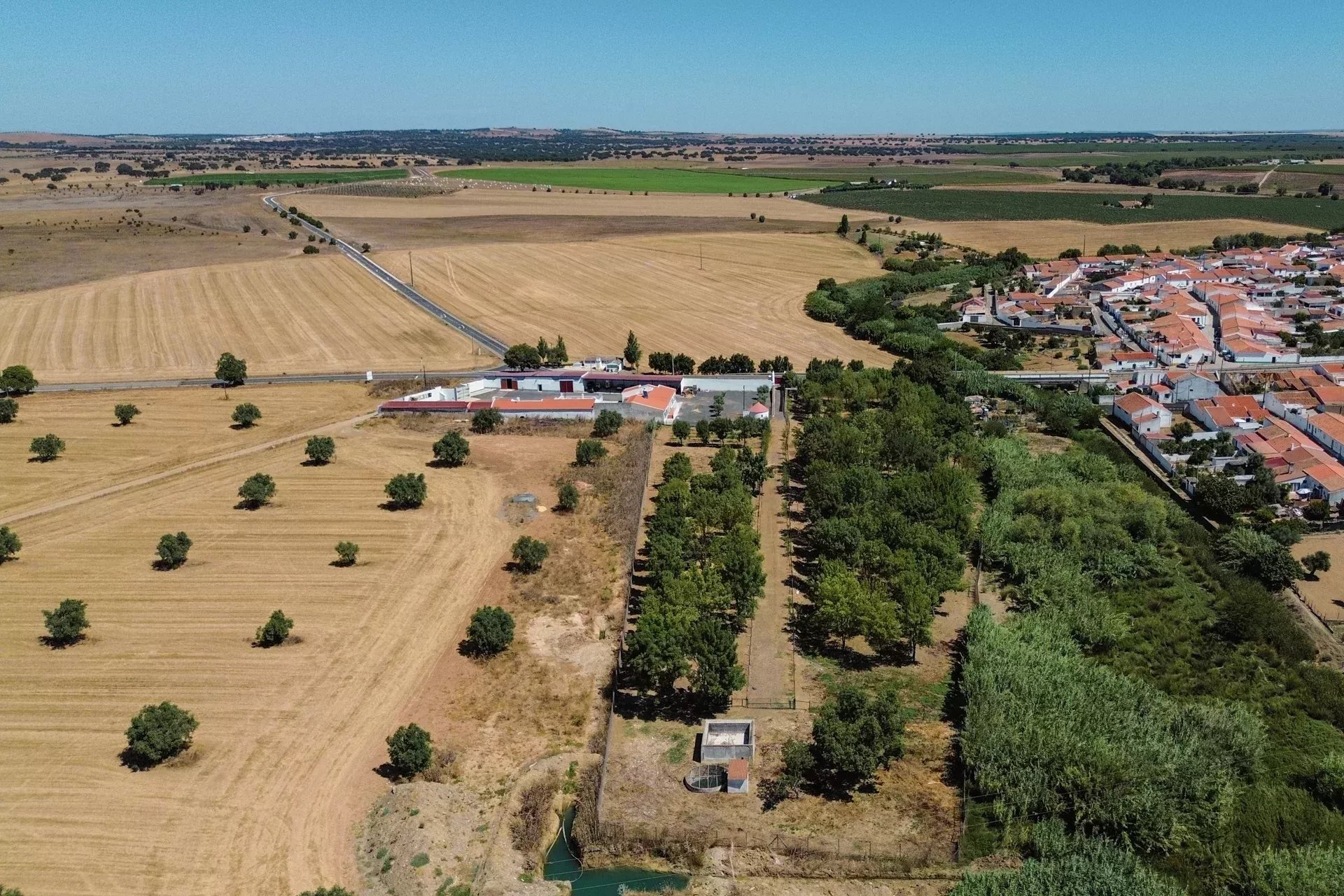 Luxury Equestrian Property + Guest House