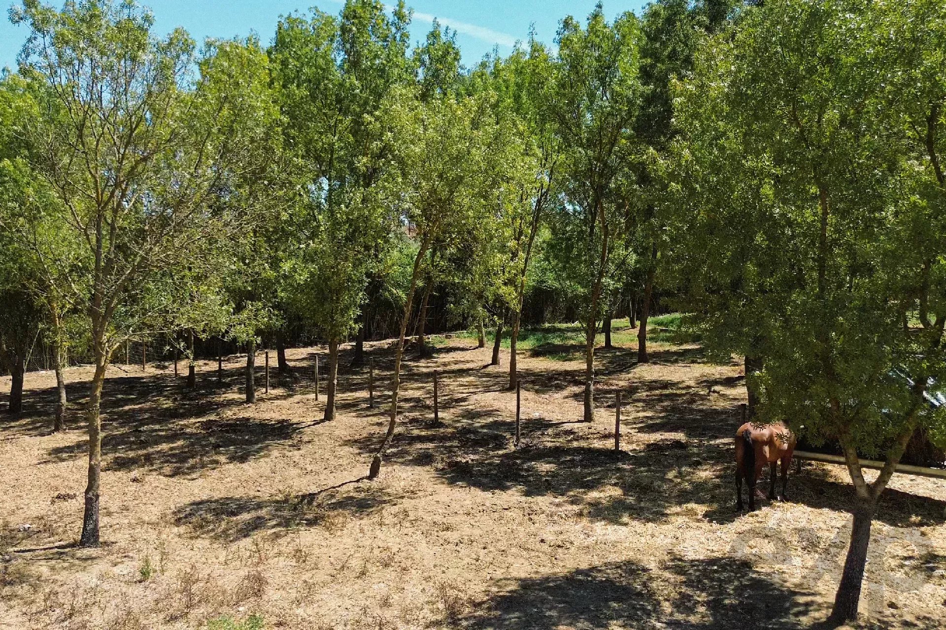 <|channel|>final <|constrain|>pt<|message|>Propriedade Equestre de Luxo, Casa de Hóspedes 85992157 image 15