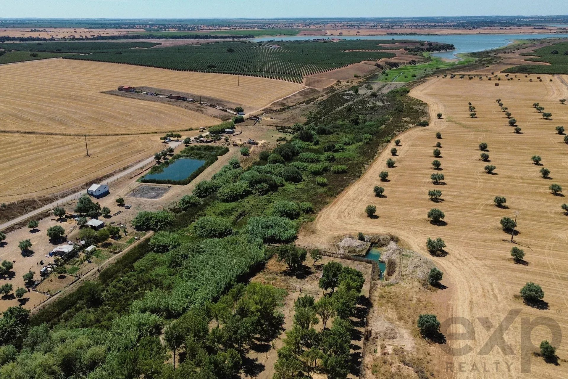 Luxury Equestrian Property + Guest House