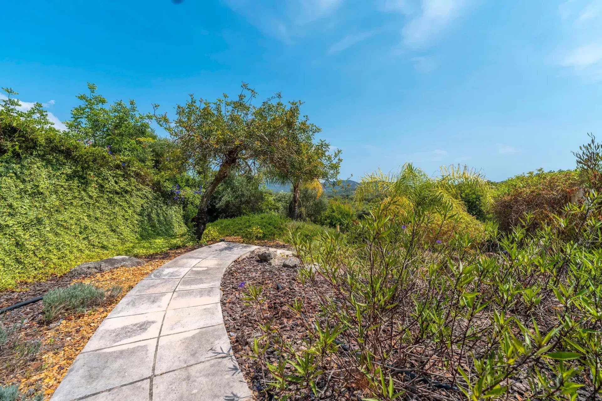 V4 House with panoramic views and a pool in São Brás de Alportel, Algarve 86003387 image 92