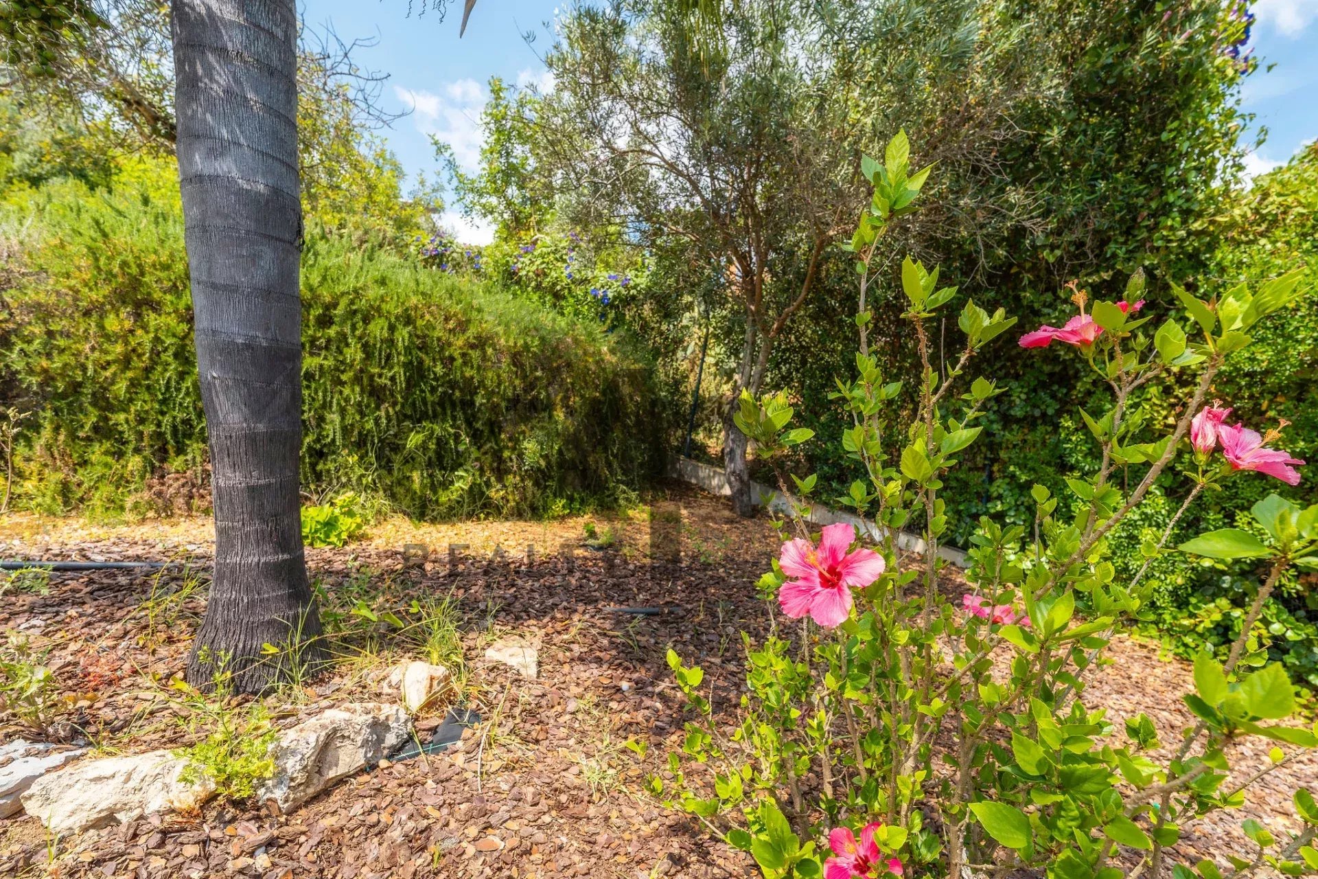 V4 House with panoramic views and a pool in São Brás de Alportel, Algarve 86003387 image 11