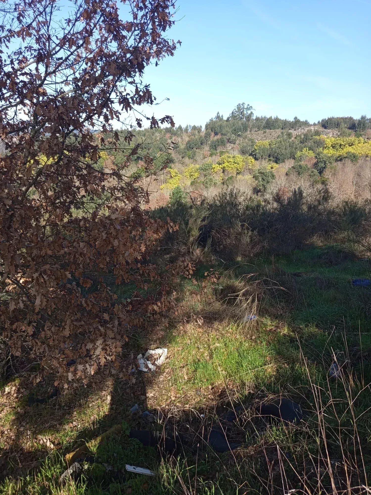 Terreno com 16 Hectares em Nelas