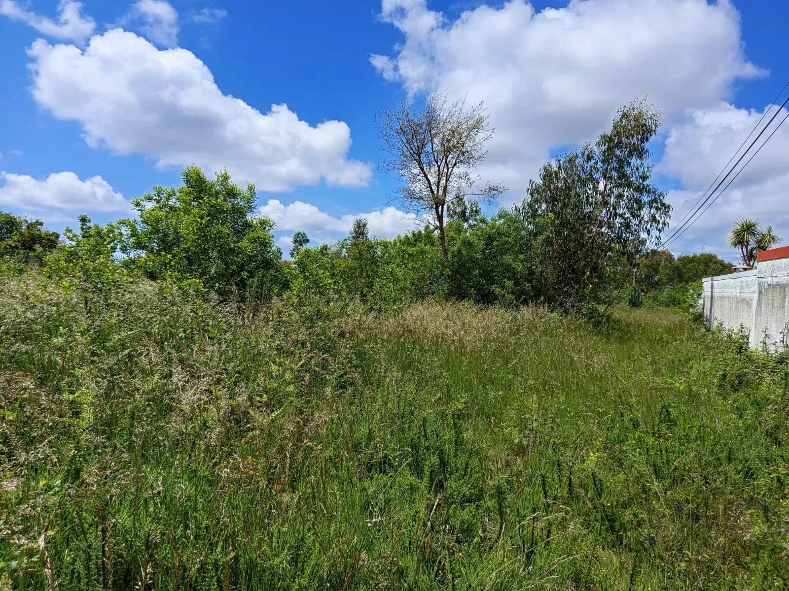Lote de Terreno de 8.500 m² em Santa Maria da Feira