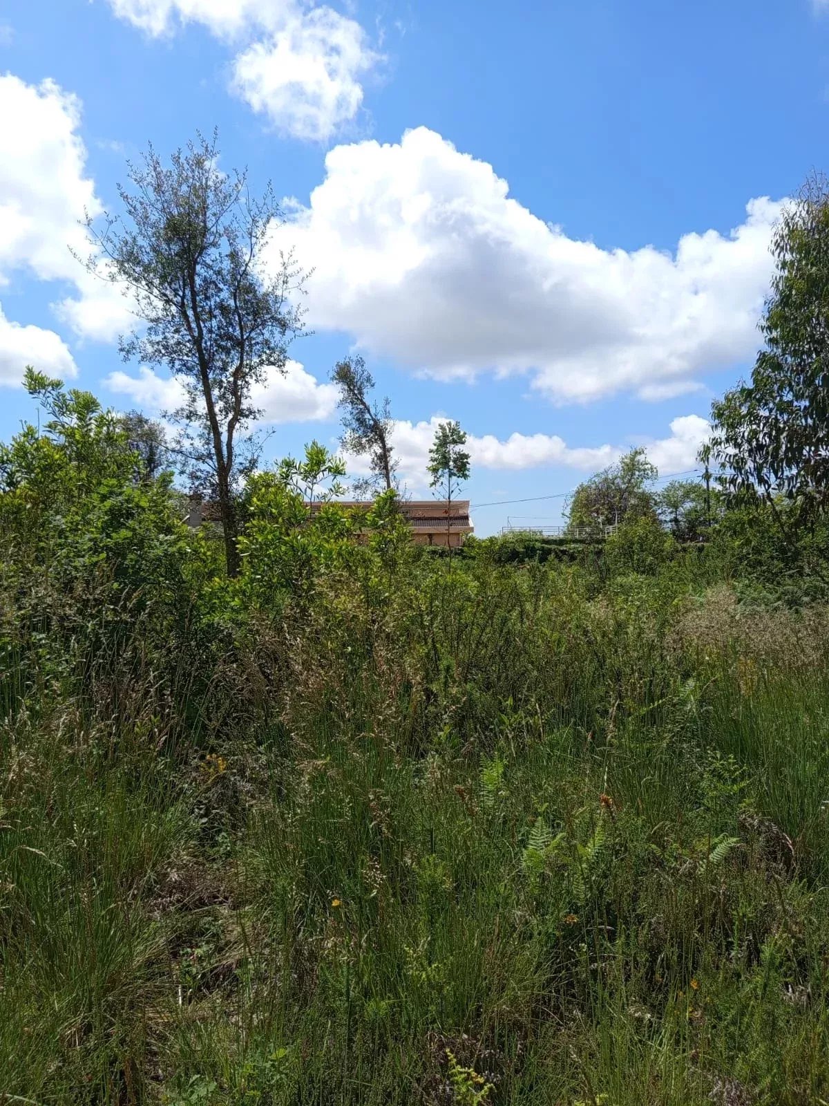 Lote de Terreno de 8.500 m² em Santa Maria da Feira