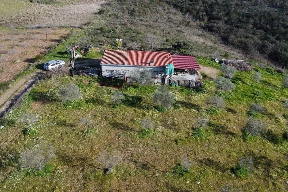 Encantadora Pequena Quinta à Venda nos Passos – O Refúgio Perfeito da Cidade!
