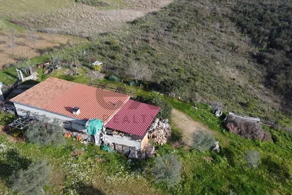 Encantadora Pequena Quinta à Venda nos Passos – O Refúgio Perfeito da Cidade!