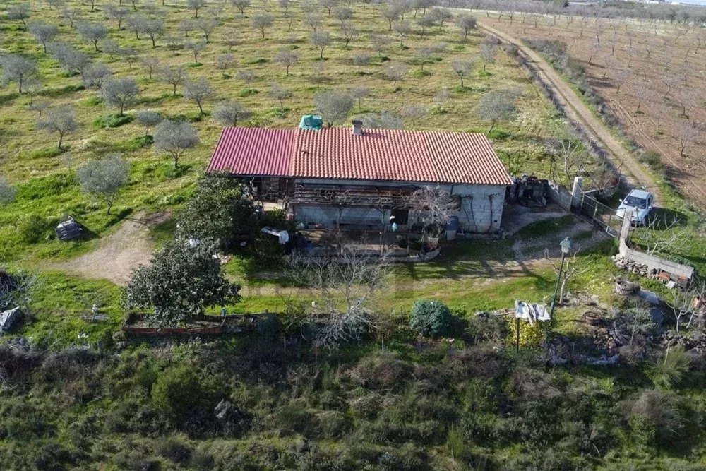 Encantadora Pequena Quinta à Venda nos Passos – O Refúgio Perfeito da Cidade!