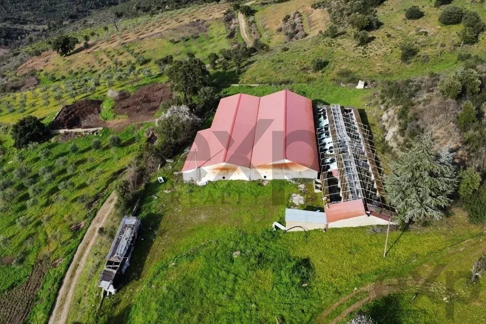 Armazém em Mirandela - 602m² de Oportunidade