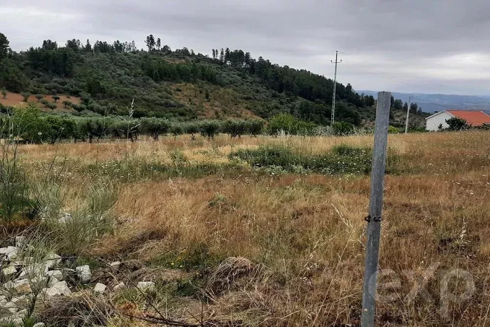 Terreno Rústico na Bouça, Mirandela
