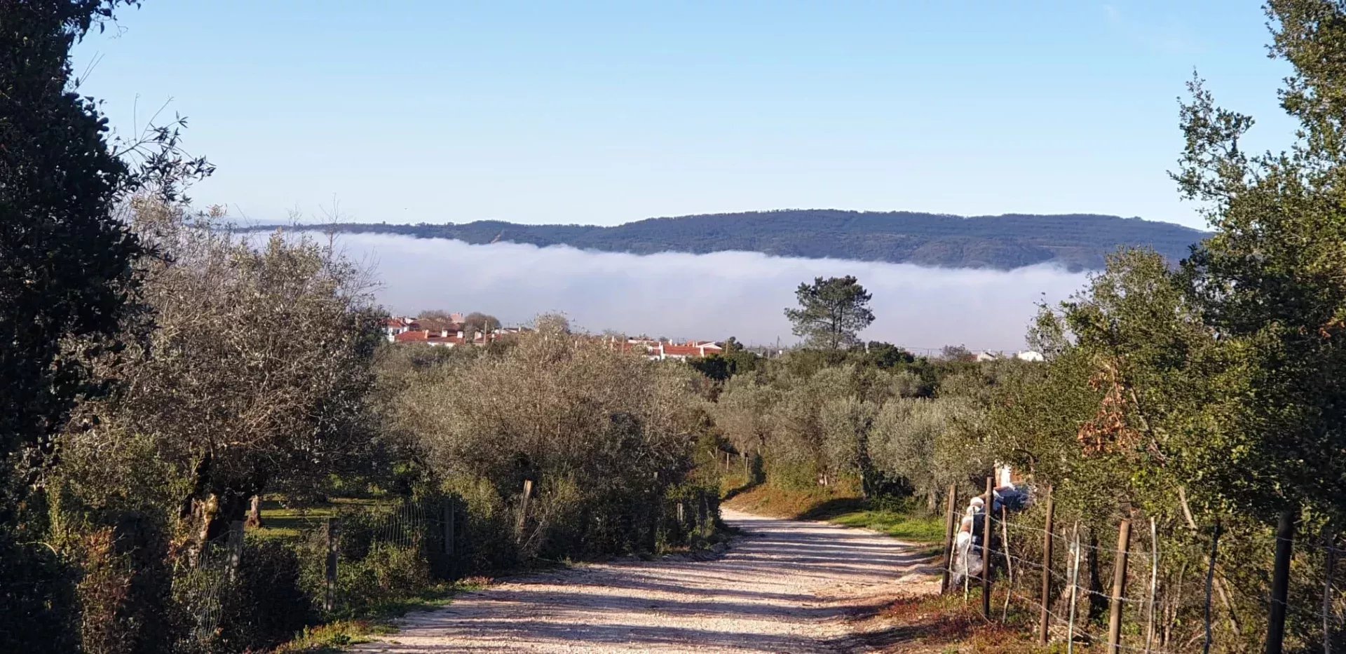 5,5 Hectares com Direitos de Desenvolvimento Turístico Aprovados - Alentejo, Portugal