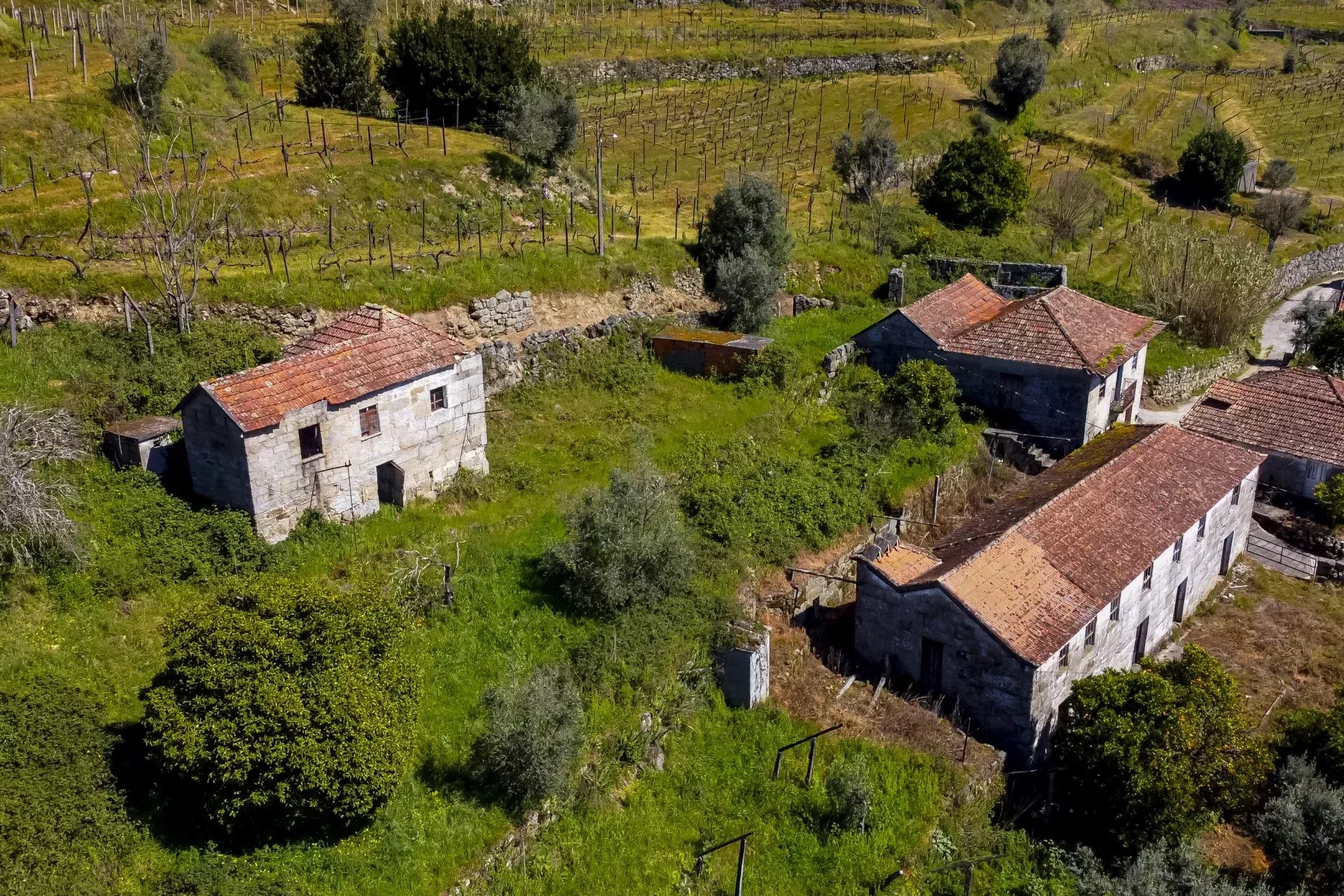 8 Suítes | Vistas sobre o Rio Douro – Um Refúgio de Luxo Sustentável no Douro