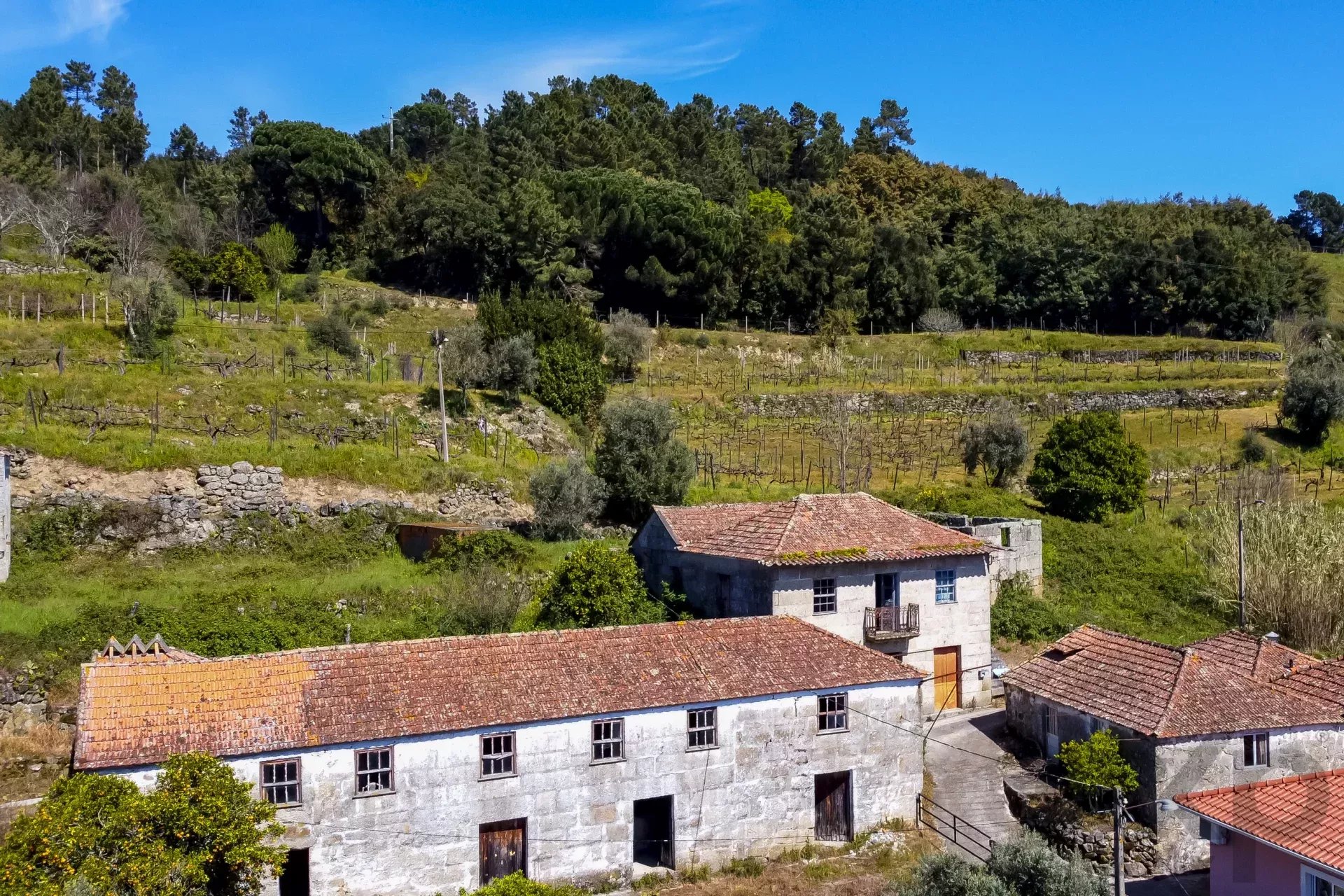 8 Suítes | Vistas sobre o Rio Douro – Um Refúgio de Luxo Sustentável no Douro