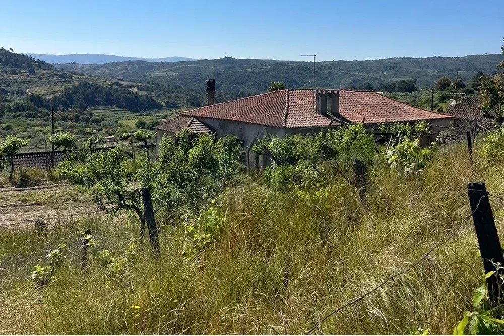 Terreno à venda em Pegarinhos, 181000 m²