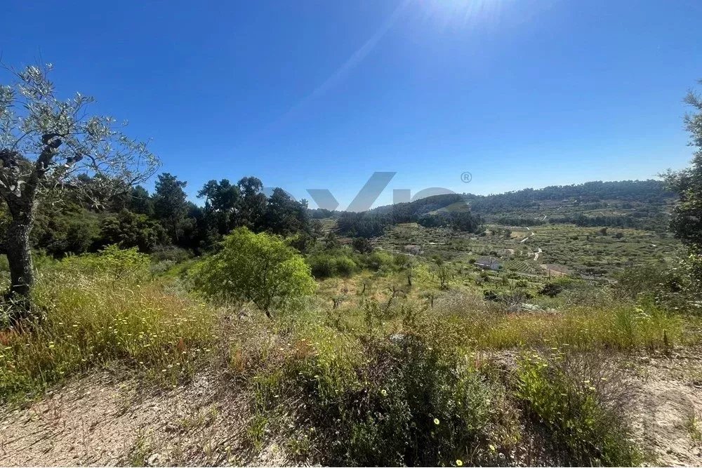 Terreno à venda em Pegarinhos, 181000 m²
