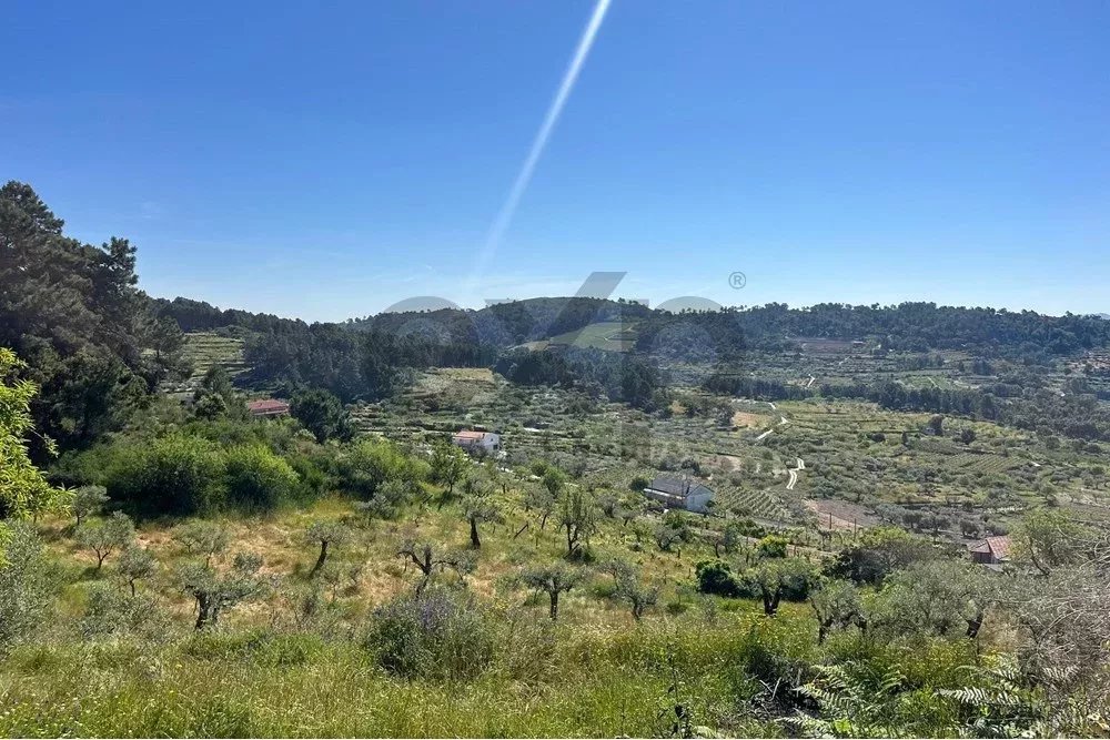 Terreno à venda em Pegarinhos, 181000 m²