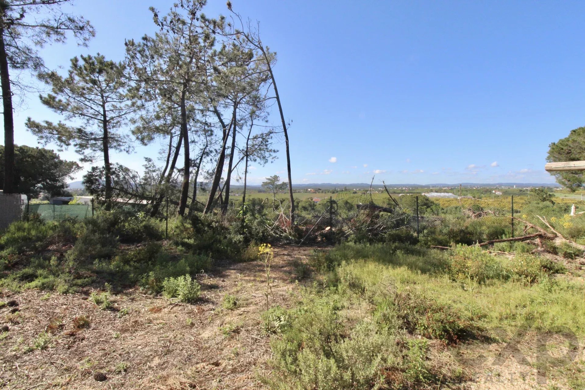 Arrendamento temporario em ambiente natural e sereno