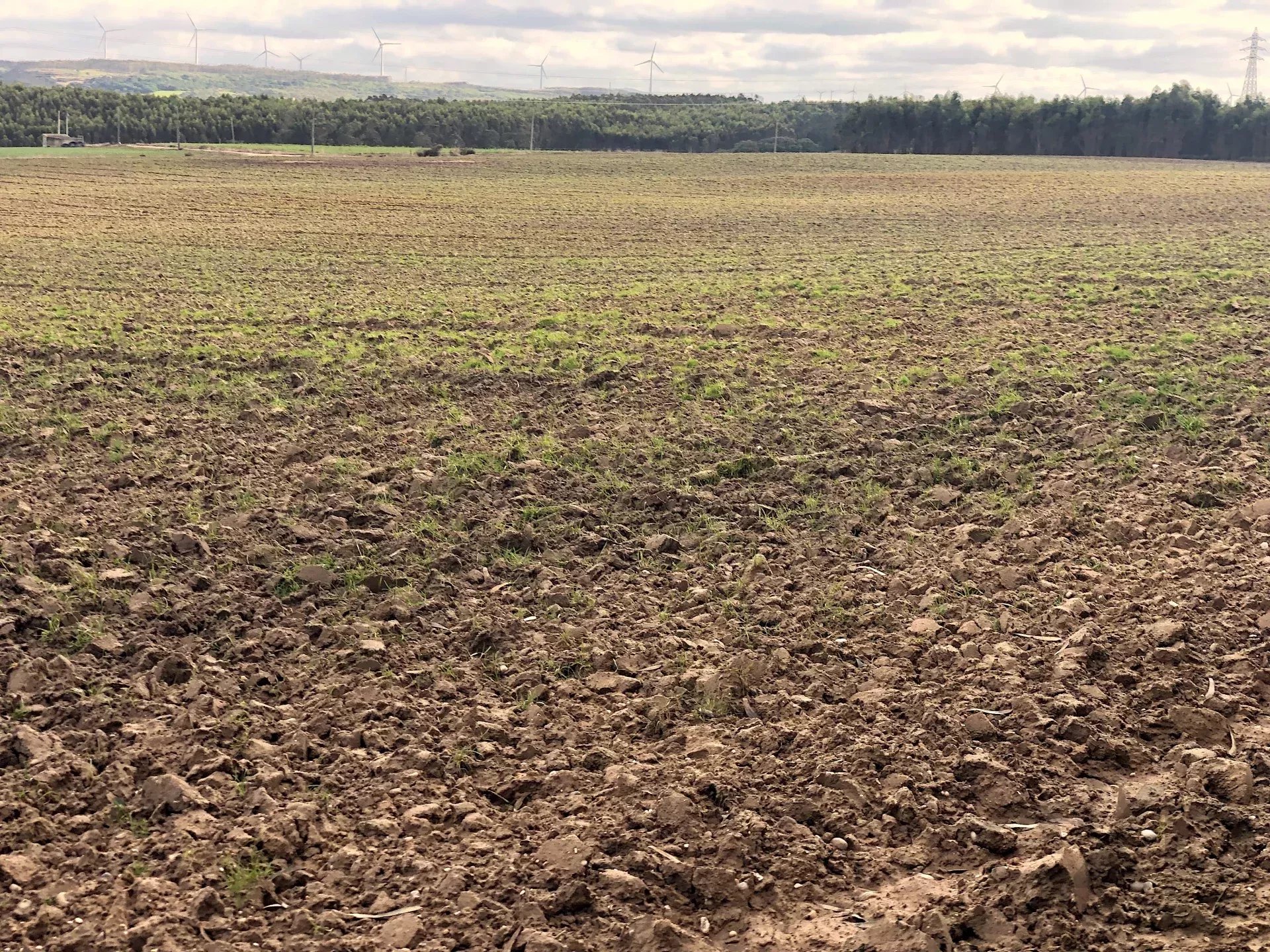 Terreno agrícola, indiviso, de 7000 m² na Vila de Atouguia Da Baleia